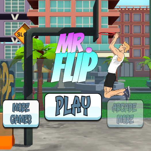 Mr Flip